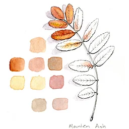 Watercolor Painting Wildflowers at the Fort Garden