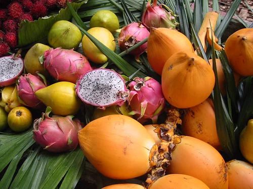 Tasting the Tropics