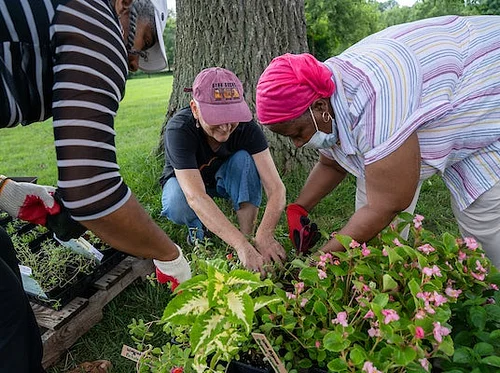 Seeds and Weeds Planting Day