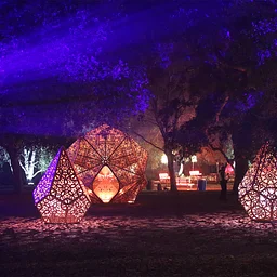 Enchanted: Forest of Light