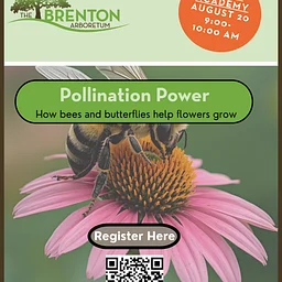 Acorn Academy (Ages 6 and up)