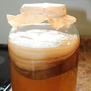 Kombucha Making