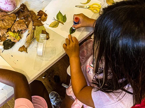 Seasonal Sprouts: Artful Explorers