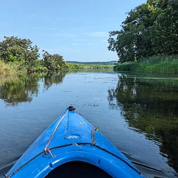 Last of the Green Kayak