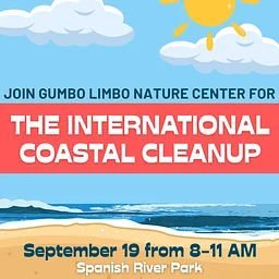 The International Coastal Cleanup