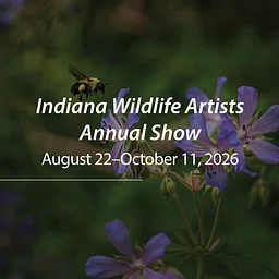 Indiana Wildlife Artists Annual Show