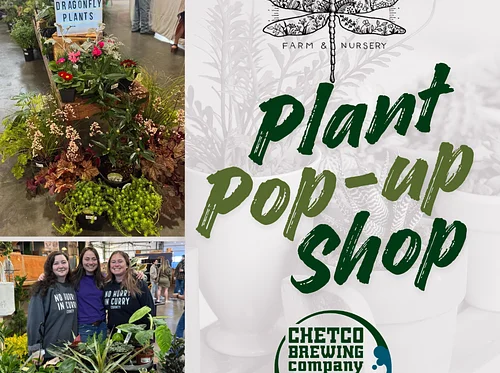 Dragonfly Farm & Nursery Plant Pop-up