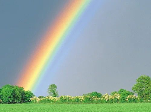 Vibrant Rainbows Mini Camp