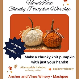 Hand Knit Chunky Pumpkin with Prendy Stitches