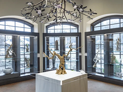 Identification and Ecology of Birch Trees in Appalachia