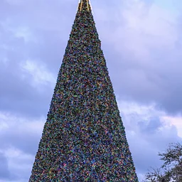 Christmas Eve at Old School Square