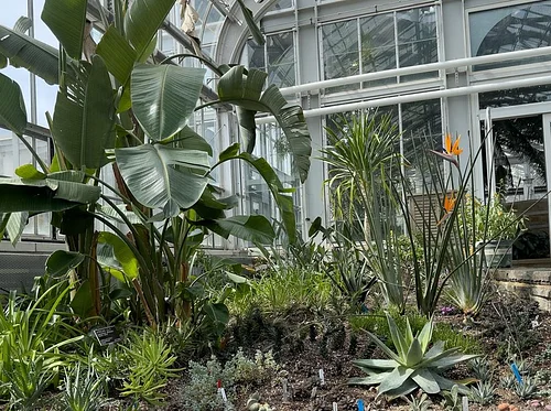 Mediterranean Landscapes Under Glass