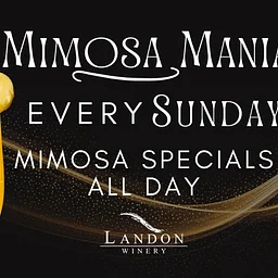 Mimosa Mania Sunday Grapevine