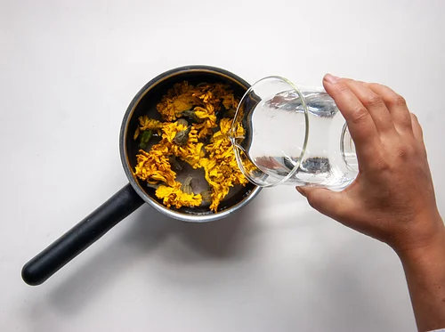 Author Talk with Natalie Stopka: From Plant to Pigment