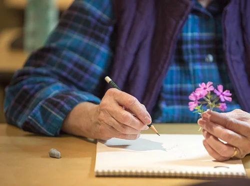 Refined Botanical Drawing