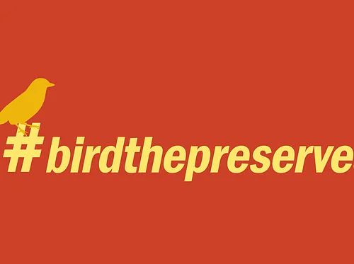 All About Birds
