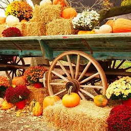 Harvest Day