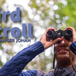 Bird Stroll with Ranger Jonah
