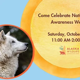 Wild About Wolves