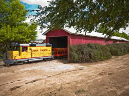 Farm & Bakery
