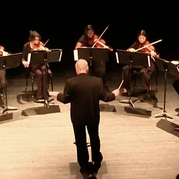 FMU String Ensemble