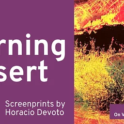 Burning Desert: Screenprints by Horacio Devoto