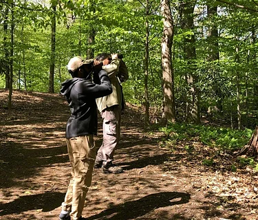 Guided Birding Walks