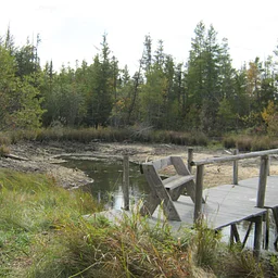 Discover a Wetland Gem Protected by Conservation Easement