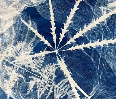 Cyanotype Jam!