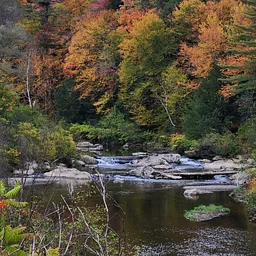 How Rivers Work: River Science 101 Workshop