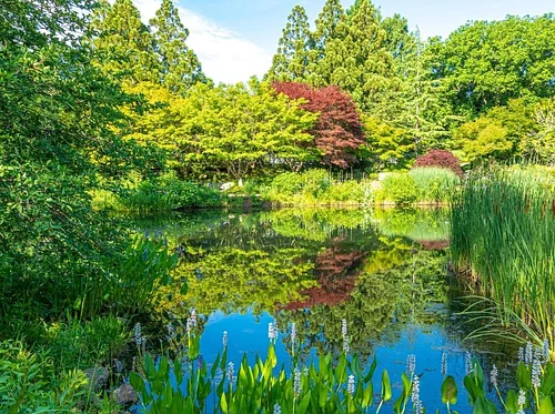 SEASONAL SPLENDOR TOUR: JUNE 10