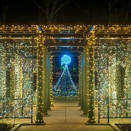 Holiday Lights Experience at the Tower Hill Botanical Garden