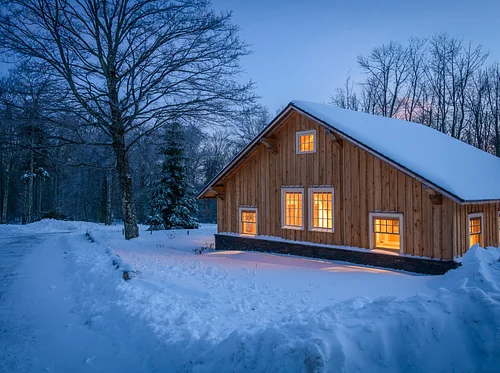 Winter Solstice Forest Bathing and Luminary Walk