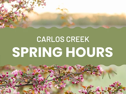 Spring hours 2026 begin