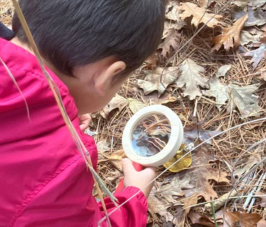 Family Nature Walk