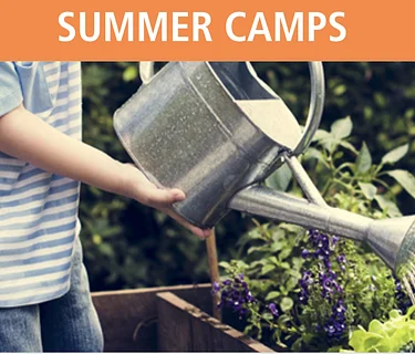 Wilderness Rangers Summer Camp 6.8-6.12