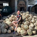 Agave at the Source: A 5-Day Immersive Tequila Journey