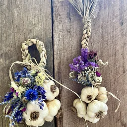 Garlic Braiding w/ spellbound gardens