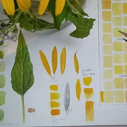 Botanical Drawing: Mixed Media Explorations