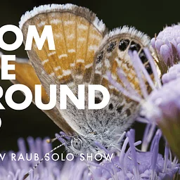 From the Ground Up - Andrew Raub Solo Show - Closing Night