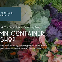 Autumn Container Workshop