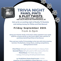 Trivia Night