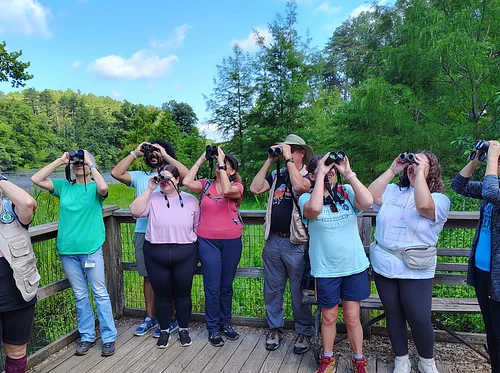 Birding for Beginners