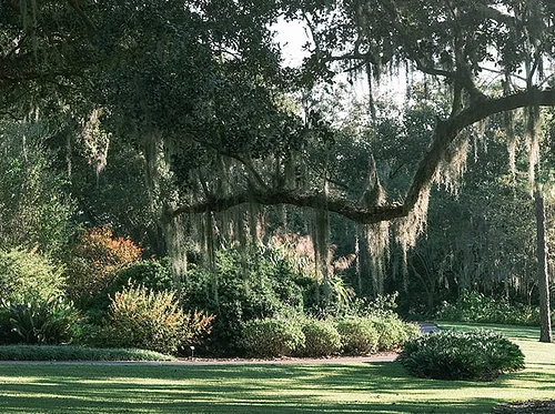 Bok Tower Gardens Landscape Tour with Brendan Huggins