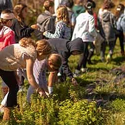 Plant Identification Hike