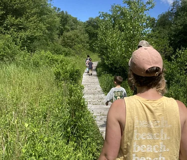 Spring Walks with Manomet Conservation Sciences-Ducks (Plymouth)