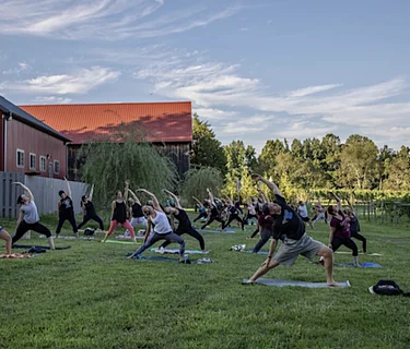 Yoga with Lindsay Cook