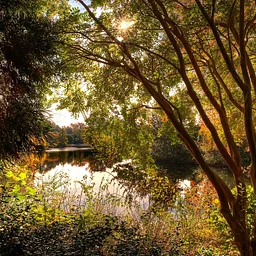 SEASONAL SPLENDOR TOUR: OCTOBER 6