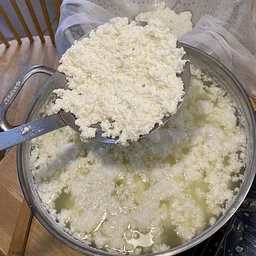Ricotta Making with Meal