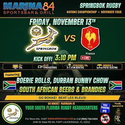 Springboks vs France